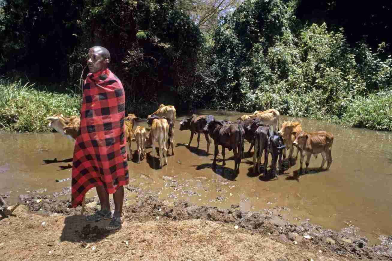 Luhya