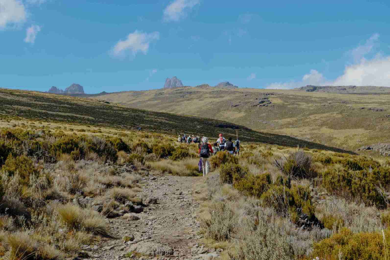 Mount Kenya Nationalpark