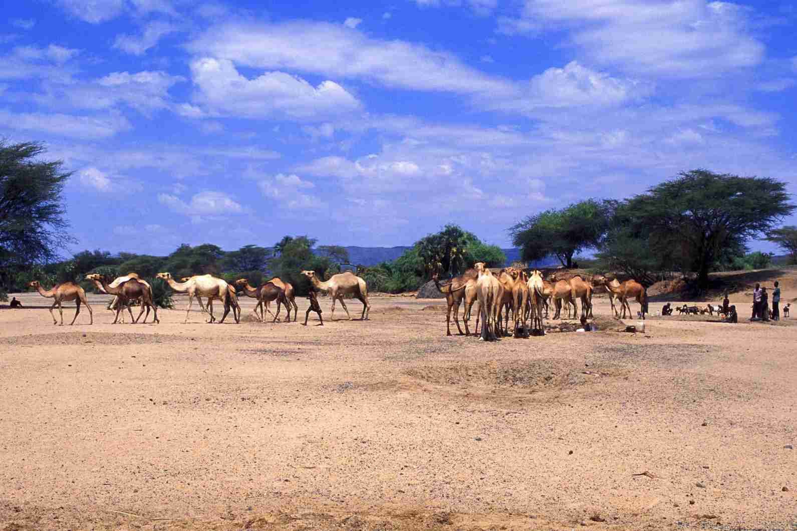 Nationalparks am Lake Turkana